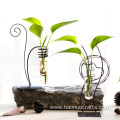 Hydroponics Plant Vase and Water culture glass vase